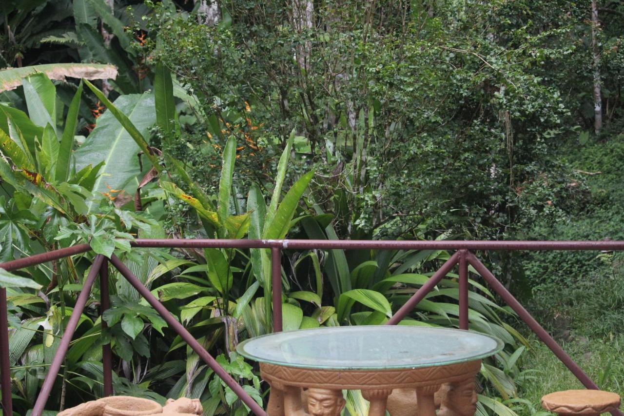Iguana Libre Hotel Dominical Ngoại thất bức ảnh