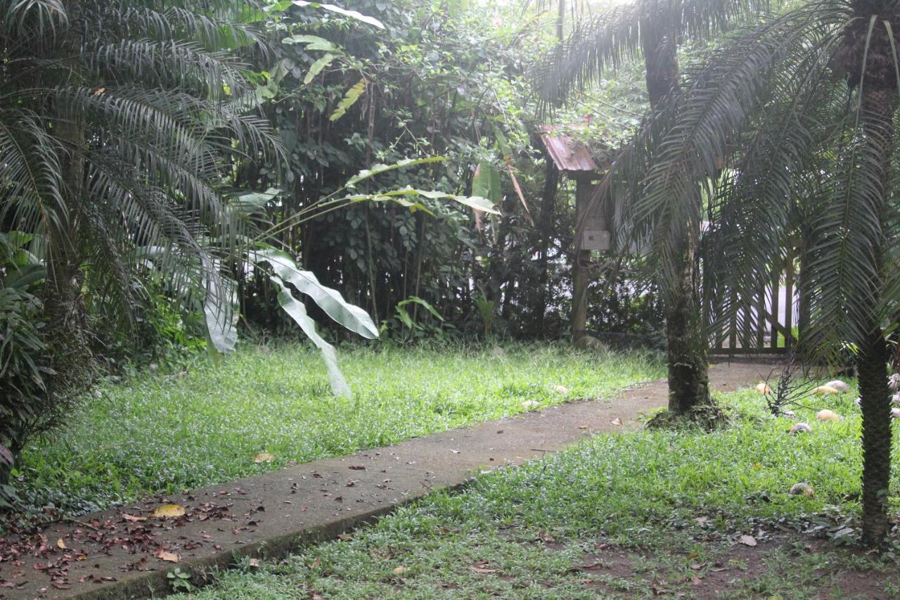 Iguana Libre Hotel Dominical Ngoại thất bức ảnh