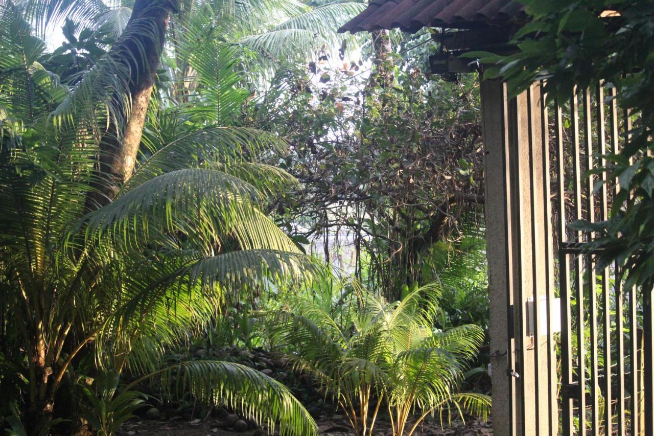 Iguana Libre Hotel Dominical Ngoại thất bức ảnh
