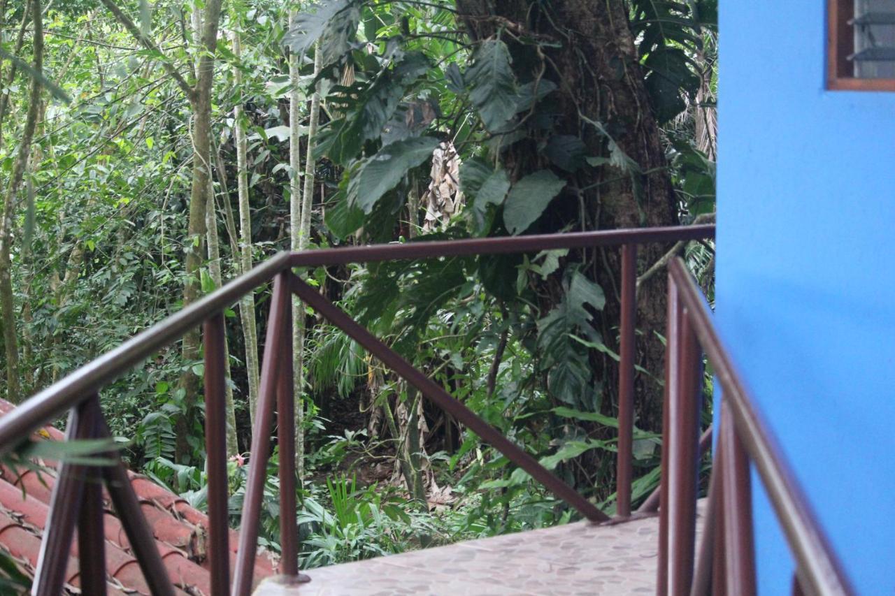 Iguana Libre Hotel Dominical Ngoại thất bức ảnh