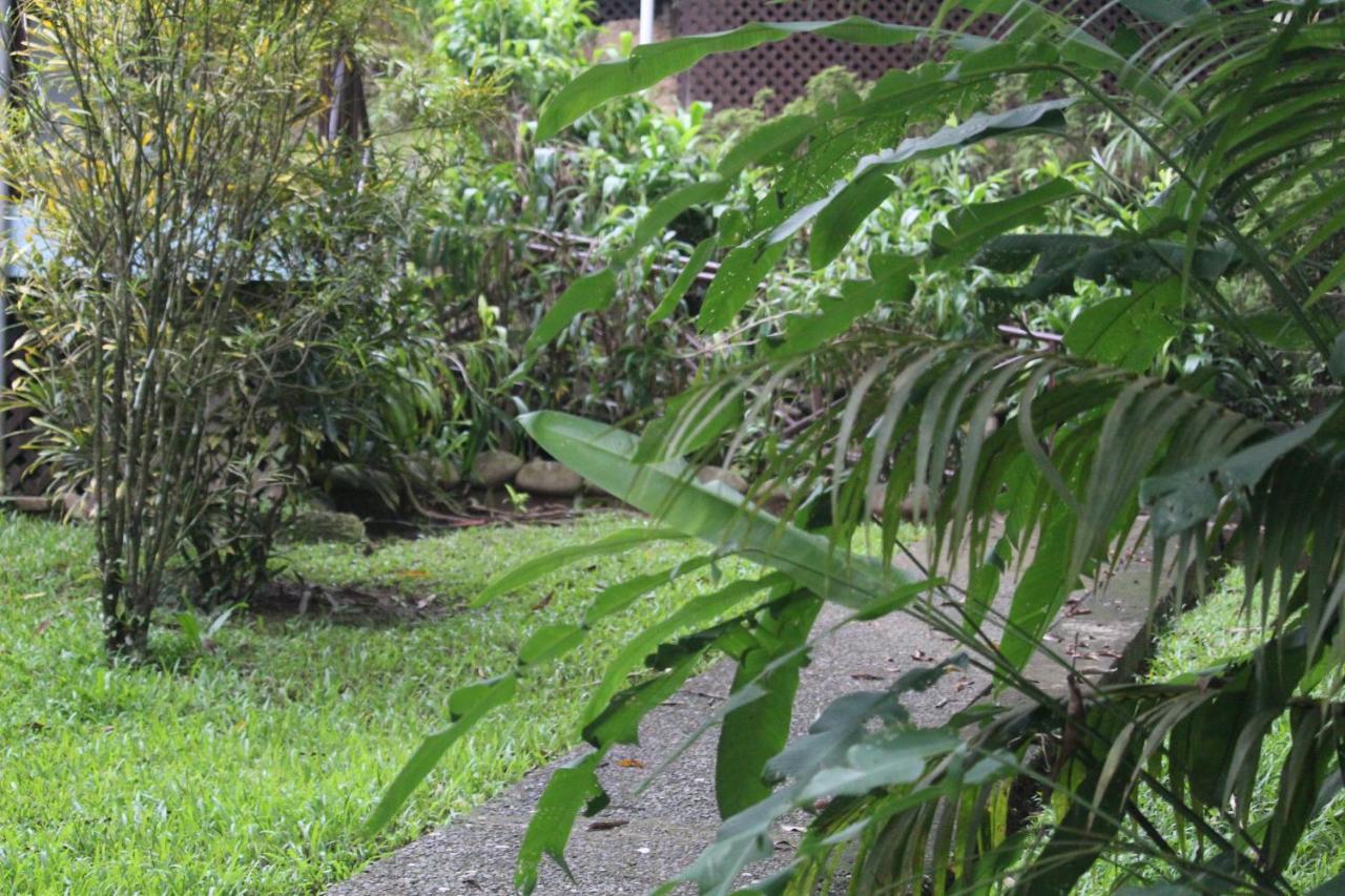 Iguana Libre Hotel Dominical Ngoại thất bức ảnh