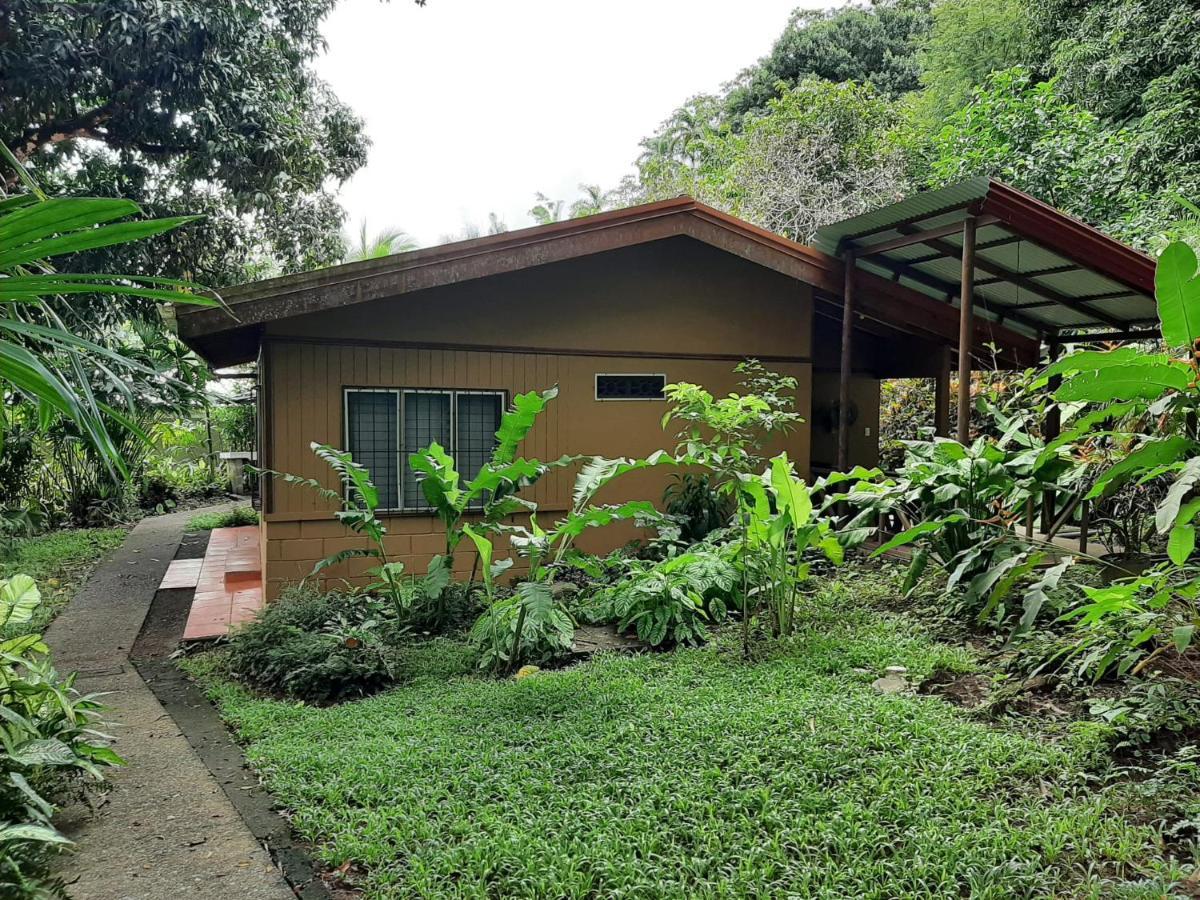 Iguana Libre Hotel Dominical Ngoại thất bức ảnh