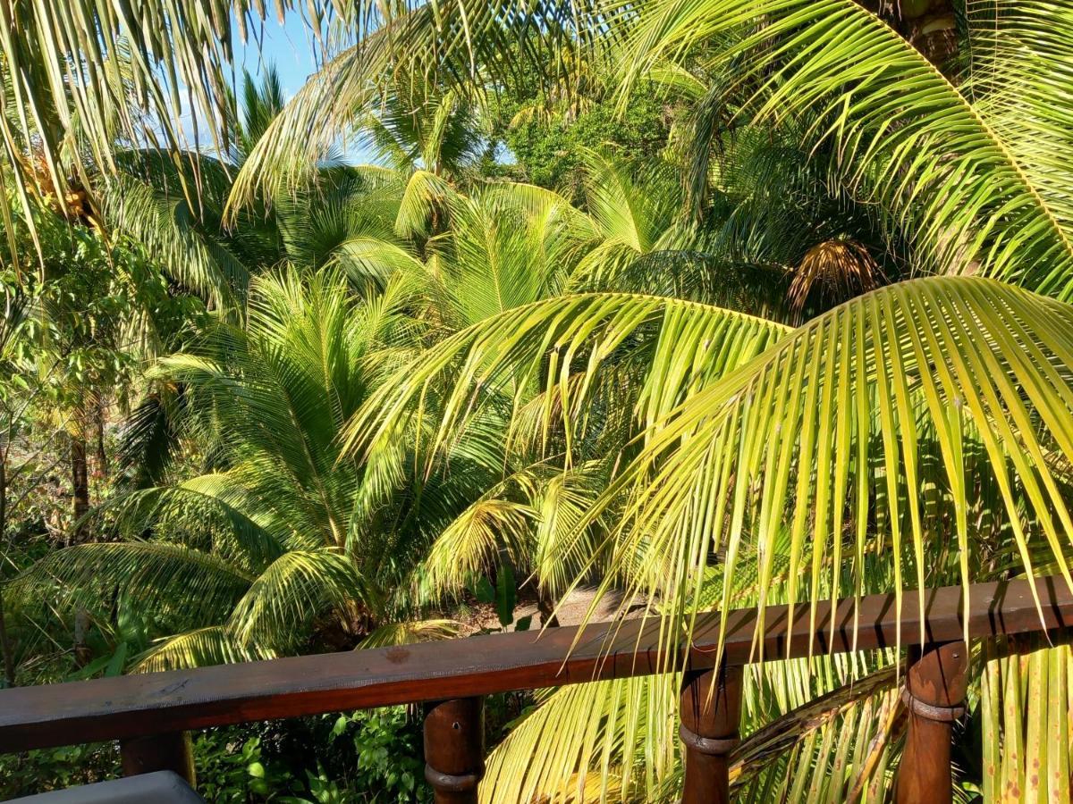 Iguana Libre Hotel Dominical Ngoại thất bức ảnh